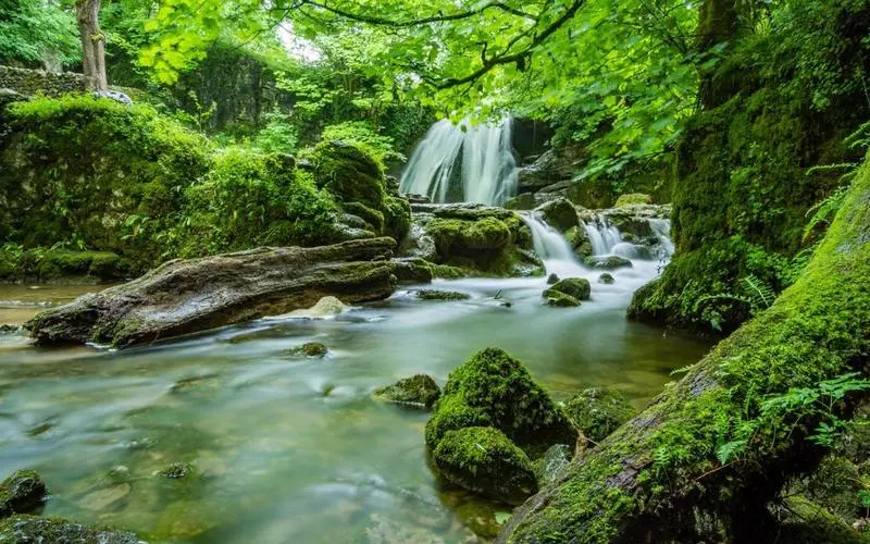 智能系统高质量